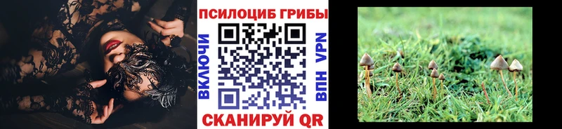 гидра онион  купить наркотики цена  Сокол  Псилоцибиновые грибы мухоморы 